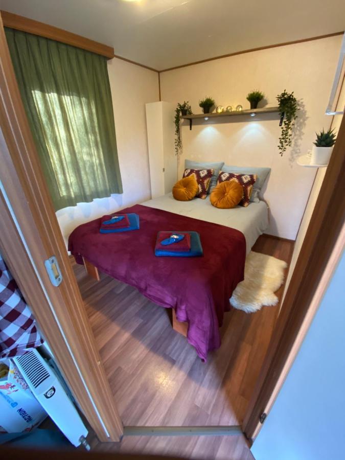 Gezellige Chalet In Bosrijke Omgeving Villa Anloo Luaran gambar